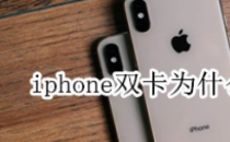 告诉大家为什么iphone双卡总是突然没有网络