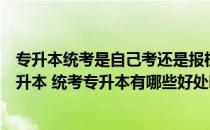 专升本统考是自己考还是报机构好（找工作还是选择统考专升本 统考专升本有哪些好处吗）