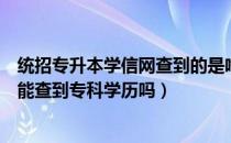 统招专升本学信网查到的是啥学历（统招专升本后学信网还能查到专科学历吗）