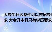 大专生什么条件可以统招专升本（报名统招专升本有哪些要求 大专升本科只有学历要求吗）