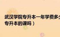 武汉学院专升本一年学费多少（请问大家武汉学院专科有开专升本的课吗）