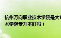 杭州万向职业技术学院是大专吗（请问大家杭州万向职业技术学院专升本好吗）