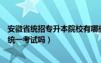 安徽省统招专升本院校有哪些（请问大家安徽省统招专升本统一考试吗）