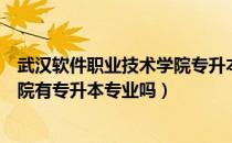 武汉软件职业技术学院专升本率（请问大家武汉软件技术学院有专升本专业吗）