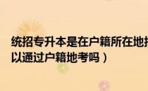 统招专升本是在户籍所在地报考吗（请问大家统招专升本可以通过户籍地考吗）