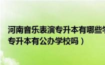 河南音乐表演专升本有哪些学校收（请问大家河南音乐表演专升本有公办学校吗）