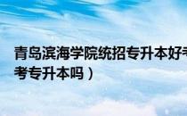 青岛滨海学院统招专升本好考吗（请问大家青岛滨海学院能考专升本吗）