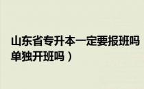 山东省专升本一定要报班吗（请问大家山东专升本考上后是单独开班吗）