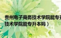 贵州电子商务技术学院能专升本吗（请问大家贵州电子商务技术学院能专升本吗）