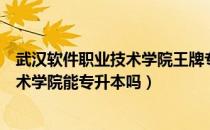 武汉软件职业技术学院王牌专业（请问大家武汉软件职业技术学院能专升本吗）