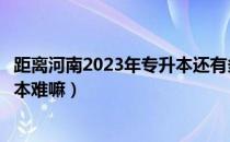 距离河南2023年专升本还有多少天（请问大家河南专升本三本难嘛）