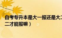 自考专升本是大一报还是大二报呢（请问大家专升本自考大二才能报嘛）