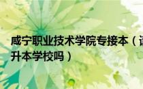 咸宁职业技术学院专接本（请问大家咸宁职业技术学院是专升本学校吗）