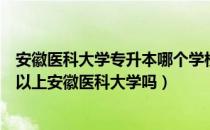 安徽医科大学专升本哪个学校能考（请问大家成人专升本可以上安徽医科大学吗）