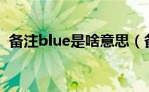 备注blue是啥意思（备注blue是什么意思）