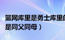 篮网库里是勇士库里的弟弟吗（库里兄弟是不是同父同母）