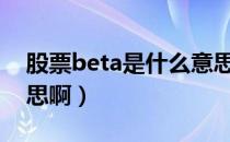 股票beta是什么意思（股票 alpha是什么意思啊）