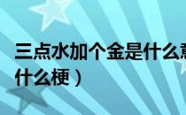 三点水加个金是什么意思（三点水加金什么字什么梗）