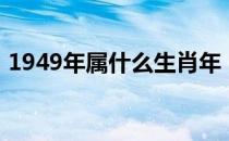 1949年属什么生肖年（1949年属什么生肖）