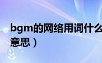 bgm的网络用词什么意思（bgm网络语什么意思）