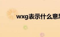 wxg表示什么意思（wxg啥意思）