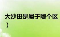 大沙田是属于哪个区（南宁大沙田属于哪个区）