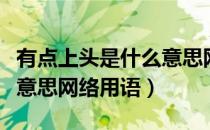 有点上头是什么意思网络语（太上头了是什么意思网络用语）