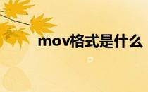 mov格式是什么（mov格式大吗）