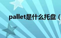 pallet是什么托盘（pallet是什么包装）