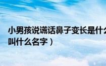 小男孩说谎话鼻子变长是什么故事（说谎话鼻子变长的故事叫什么名字）