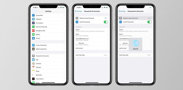  期待吗？iOS  14 将会有这些新功能