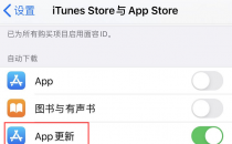 分享如何管理iPhone应用程序的自动更新和下载