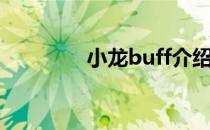 小龙buff介绍（小龙buff）