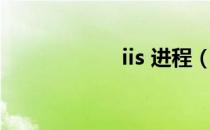 iis 进程（iis 配置）