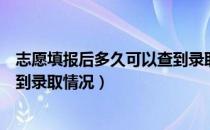 志愿填报后多久可以查到录取状态（志愿填报后多久可以查到录取情况）