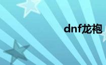 dnf龙袍（dnf龙）