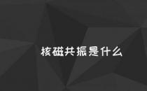 网络信息:核磁共振是什么？