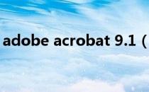 adobe acrobat 9.1（adobe acrobat 8 0）