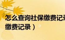 怎么查询社保缴费记录支付宝（怎么查询社保缴费记录）