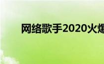 网络歌手2020火爆歌曲（网络歌手）