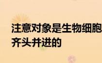 注意对象是生物细胞 但是膨胀和变形往往是齐头并进的