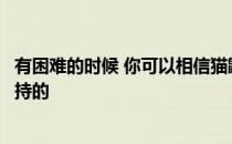 有困难的时候 你可以相信猫鼬的实地研究表明它们是相互支持的