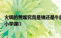 火锅的黄喉究竟是猪还是牛的哪个器官？4月26日 蚂蚁庄园小学课�