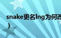 snake更名lng为何改名字（Snake更名LNG）