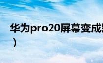 华为pro20屏幕变成黑白的（华为pro20pro）