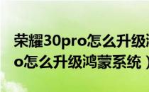 荣耀30pro怎么升级鸿蒙3.0系统（荣耀30pro怎么升级鸿蒙系统）