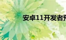 安卓11开发者预览版提前登录