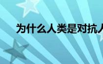 为什么人类是对抗人工智能偏见的关键