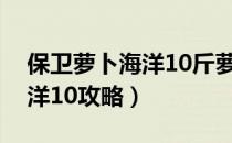 保卫萝卜海洋10斤萝卜攻略图（保卫萝卜海洋10攻略）