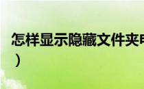 怎样显示隐藏文件夹电脑（怎样显示隐藏文件）